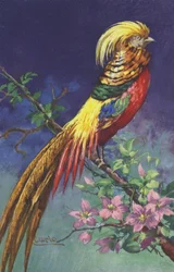 Ave tropical o exótica